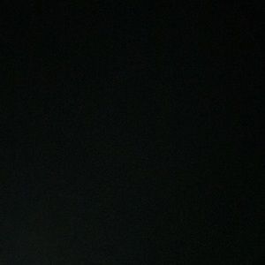 Meet your Posher, Maddison